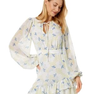 Ted Baker Floral Print Wedding Dress - Blue and Green